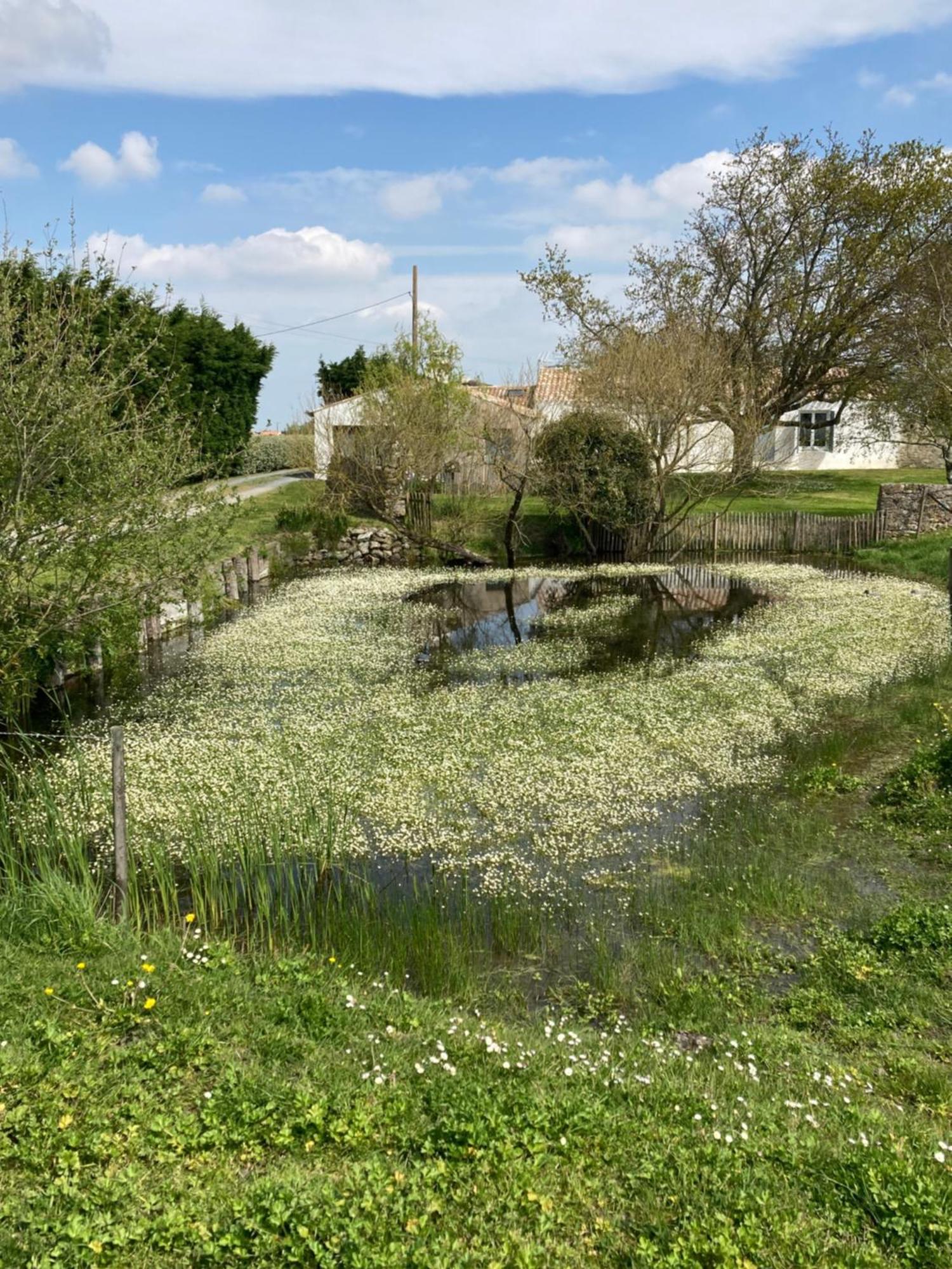 Les Pensions Du Joslin Bouin  Exterior foto