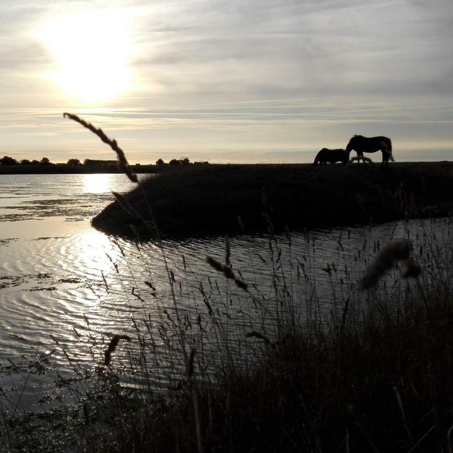Les Pensions Du Joslin Bouin  Exterior foto